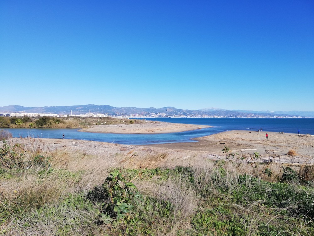 Bloganuary 2023 #2 – How are you&nbsp;brave?